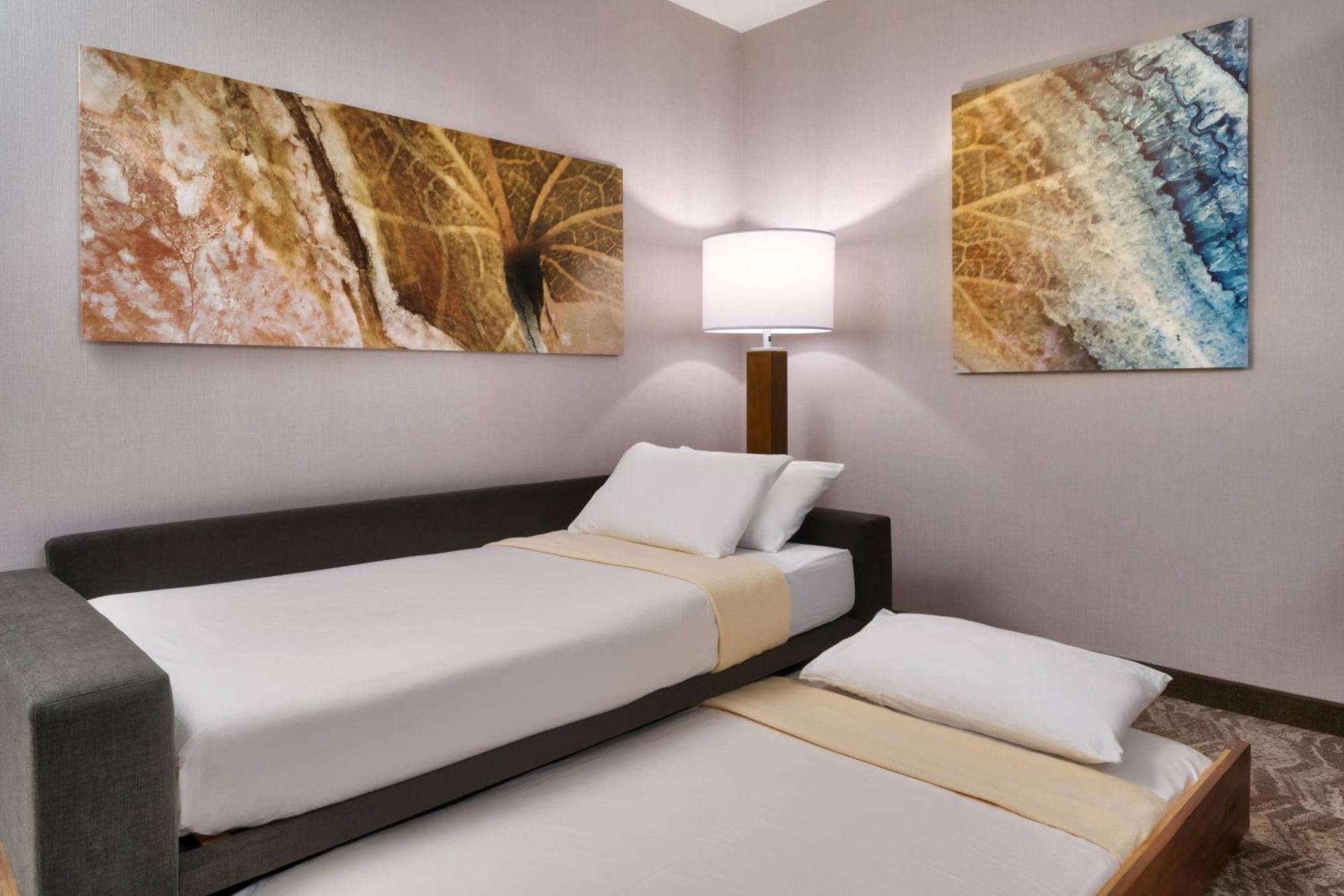 Springhill Suites By Marriott El Paso Airport Exterior foto